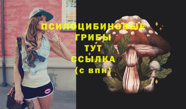 прущая мука Заволжск