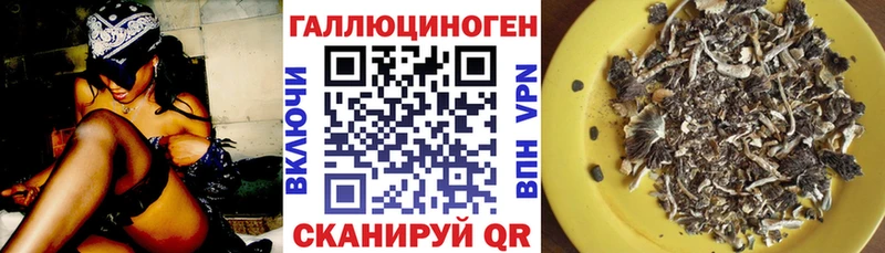 Купить закладки  Ахтубинск  Галлюциногенные грибы Magic Shrooms 